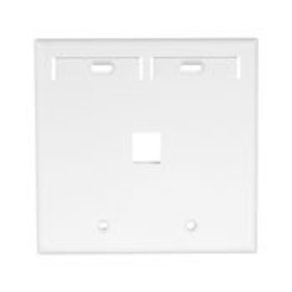 Leviton Number of Gangs: 2 High-Impact Plastic, White 42080-1WP